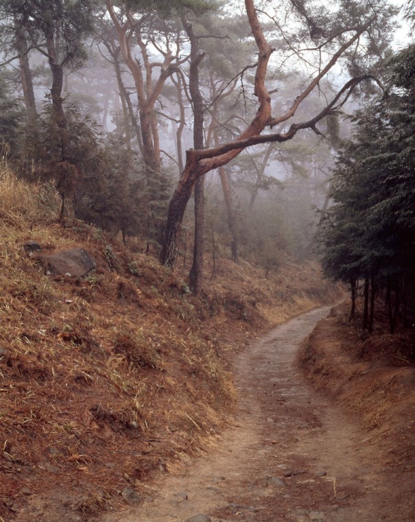 「山の辺の道　檜原神社付近」（1973年頃　＊）。入江が何度も歩いた古代の道である。
