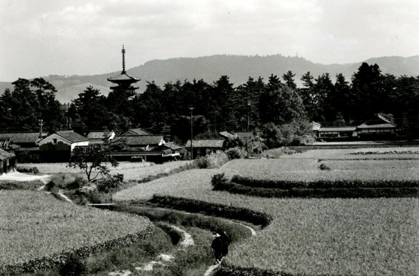 「薬師寺塔遠望」。春日山を背景に奈良時代の国宝東塔だけが立つ。塔の左後方は若草山。（1957年頃）