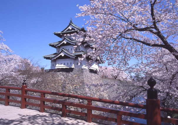 弘前城下乗橋から見る桜と天守は絶好の撮影スポットだった。 今年は、この位置から70ｍ天守が移動している。 