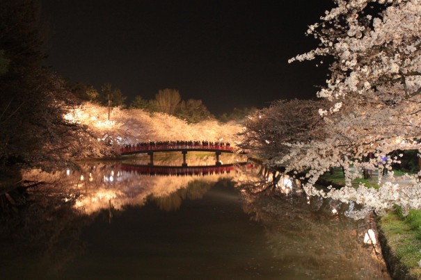 弘前夜桜