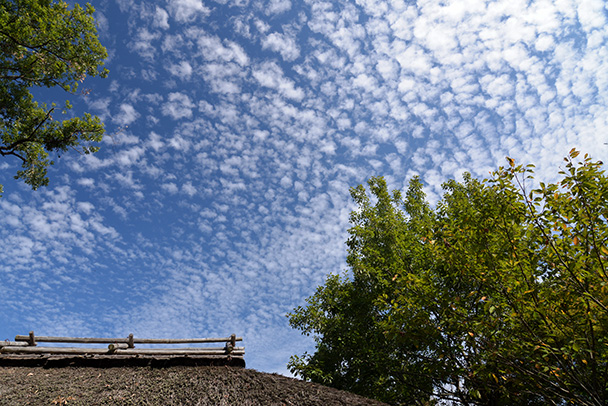 わらぶき屋根とうろこ雲