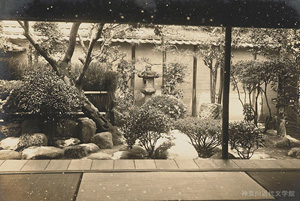 漱石と子規の、松山における同居生活の拠点となった愚陀仏庵の庭。写真/神奈川近代文学館所蔵