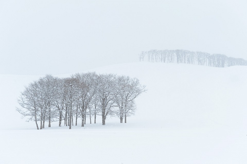 寒さに見合う至高の一枚を 純白の雪景色 を上手に撮影する3つのコツ サライ Jp 小学館の雑誌 サライ 公式サイト