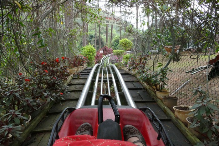 浅草花やしきよりも怖い スリル満点のコースターで森を疾走 ベトナムの避暑地ダラット紀行5 サライ Jp 小学館の雑誌 サライ 公式サイト