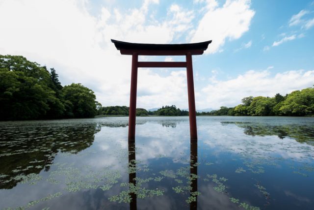 宇佐の地方神「八幡神」が“国家神”となった衝撃的な事件とは【半島をゆく《歴史解説編》国東半島編1】 | サライ.jp|小学館の雑誌『サライ』公式サイト