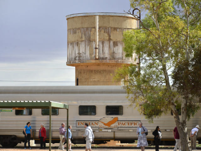 オーストラリア横断列車 インディアンパシフィック で世界最長直線区間を行く サライ Jp 小学館の雑誌 サライ 公式サイト