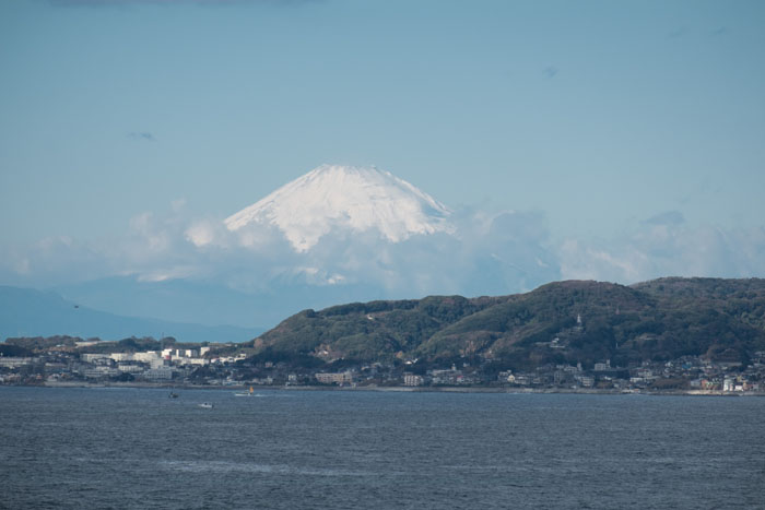 房総半島の小国の大名・里見氏はなぜ関東の覇者と渡り合えたのか【半島