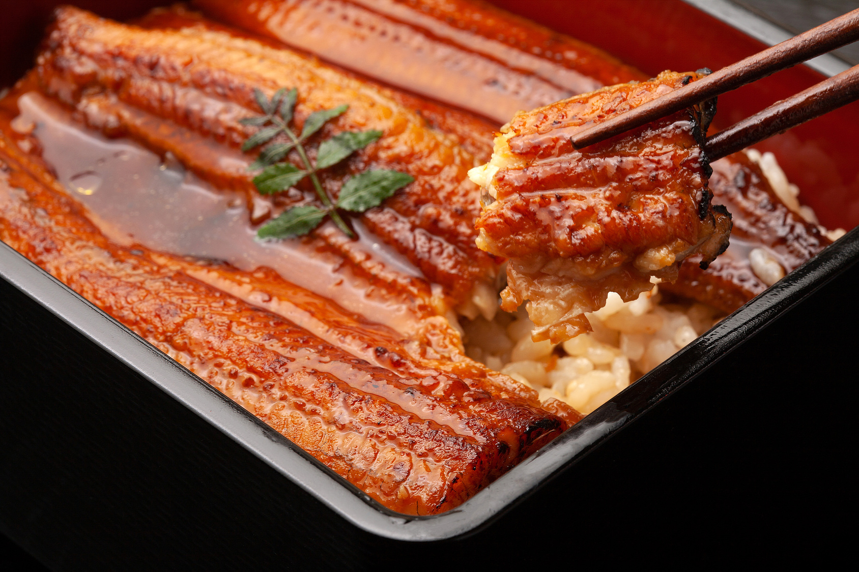 天然の鰻はどうして「狐うなぎ」と呼ばれるのか？【食いしん坊の作法