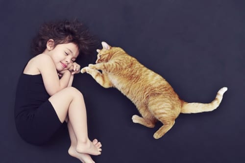 猫と人は家族や友人のように親しくなれるのか
