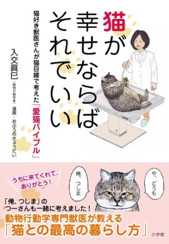 猫さんのすりすり行動は大好きのサイン！「知っておきたい猫の習性 