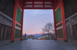 早朝こそ美しい京都の寺３選