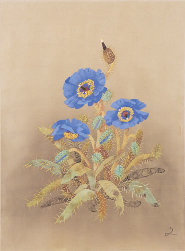 『ブルーポピー』2001年　この花を見るために、ヒマラヤまで出かけた。本誌でも紹介したが、この青い芥子の絵は昨年の個展で、大きな話題となった。(C)一般社団法人堀文子記念館