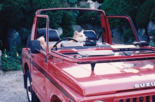 17年前、在りし日の愛犬と愛車を写した思い出の1枚。クルマの思い出は、哲也さんの送った半生の思い出と深く結びついています。