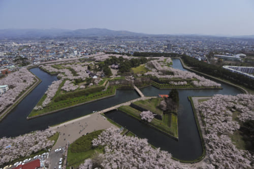 榎本武揚ら旧幕府軍が拠点とした五稜郭