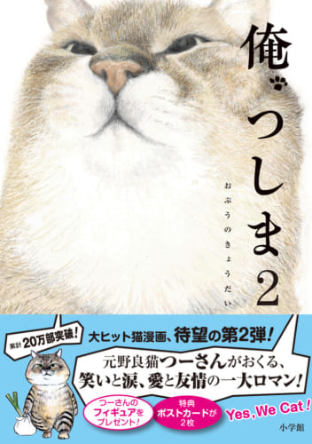 ボロボロの野良猫から人気者に！｢おぷうのきょうだい｣が明かす今後の 