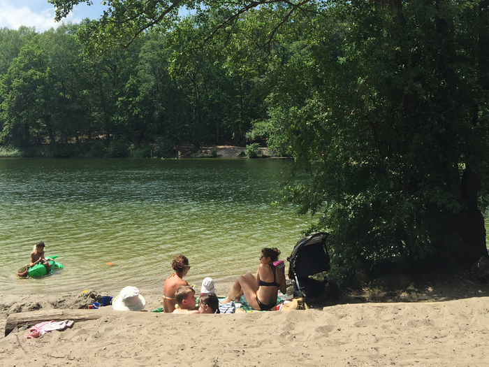 ベルリナー 夏の遊び方 森の中のビーチ クルンメ ランケ湖で泳ぐ ベルリン サライ Jp 小学館の雑誌 サライ 公式サイト