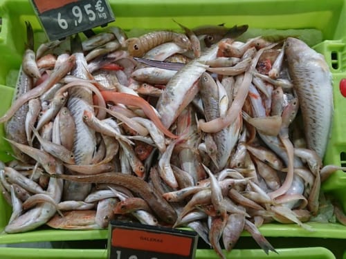 魚介パエリアはあらかじめ出汁をとる。スーパーや市場では出汁の雑魚が売られている