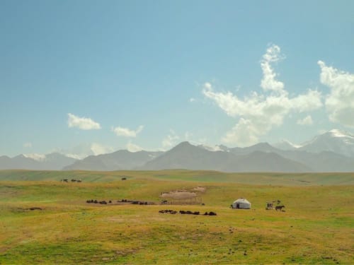パミールの雄大な草原のユルタと家畜の群れ