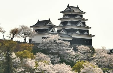 賤ヶ岳七本槍」から豊臣水軍の中心人物へ｜三英傑に仕え「全国