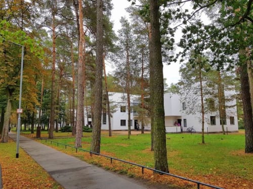 木立の中にグロピウス設計の「マイスターハウス」が４棟並ぶ。クレーとカンディンスキーは同じ二戸建て住宅に暮らした。