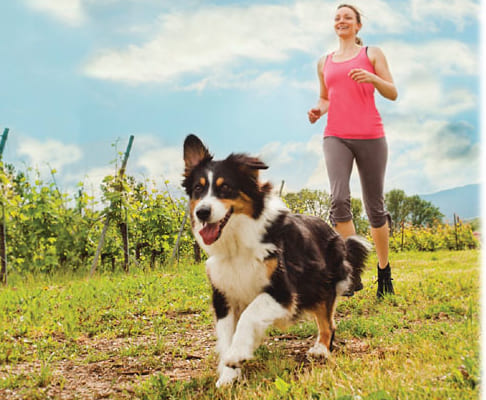 健康のための運動は「愛犬と一緒」が効果的！｜愛犬家の９割がやる気・継続性・絆などのメリットを実感！