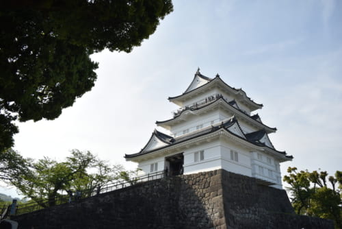 昭和35年に再建された小田原城天守。小田原攻めが大名復帰のきっかけとなった