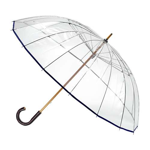 お高い傘 | camillevieraservices.com