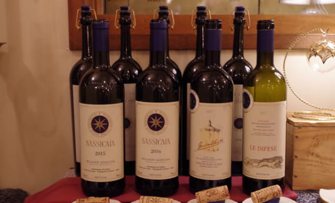 イタリア中部のトスカーナ州に誕生したワインのスター生産者たち 