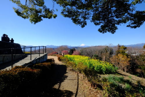 ようやく出た山頂展望台、山並みに富士山も