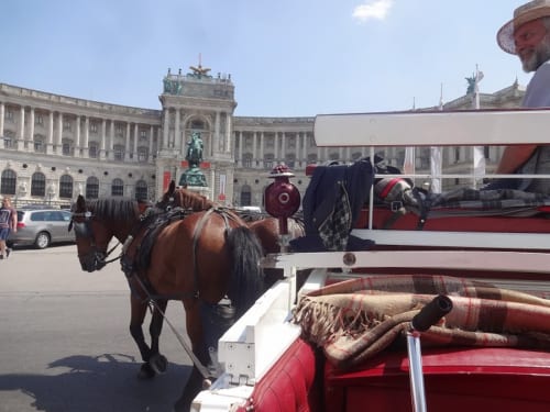ハプスブルク家皇帝の宮殿ホーフブルクも、馬車の視点で見ると圧巻です