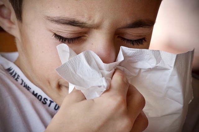 ドラッグストアで買える 花粉症の薬 抗ヒスタミン薬 の効果は 薬を使わない薬剤師 宇多川久美子のお薬講座 第18回 サライ Jp 小学館の雑誌 サライ 公式サイト