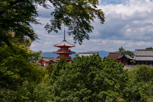 當麻寺 建仁寺 高野山金剛峯寺 本で楽しむ古寺巡礼 サライ Jp 小学館の雑誌 サライ 公式サイト