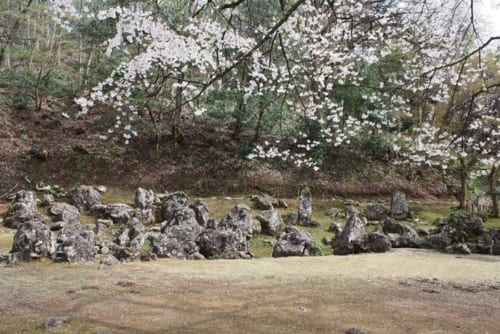 発掘された義景館の高台の庭園（特別名勝指定）。