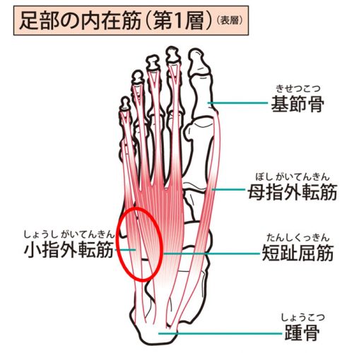 足 の 痛み 部位 別 図