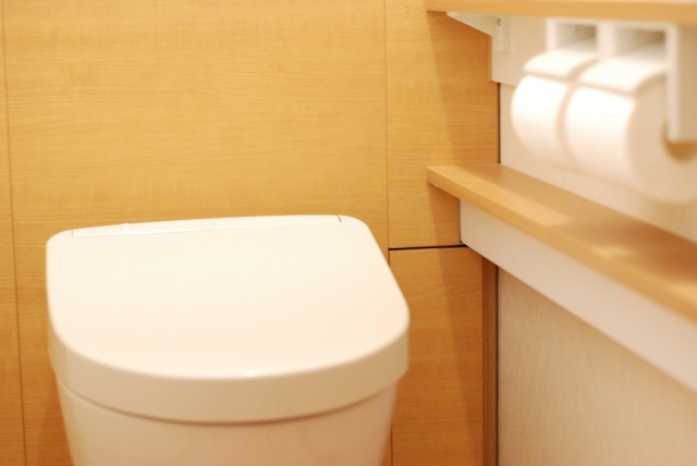 全国の女性1,197人が選んだ人気「トイレ」と「トイレ洗浄剤」BEST3 | サライ.jp｜小学館の雑誌『サライ』公式サイト