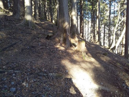 丹沢山の櫟山〜栗ノ木洞（関東 ／ 神奈川）