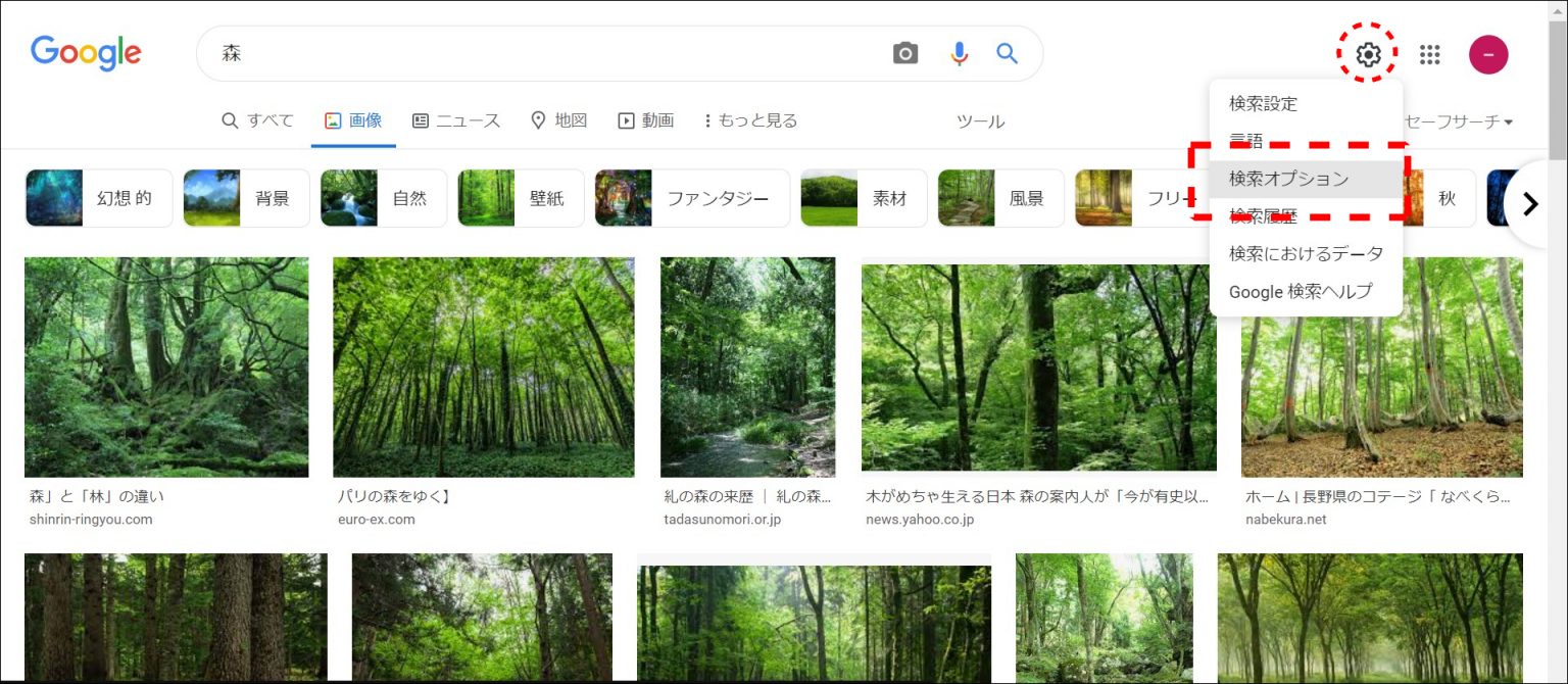 Googleの「画像検索」、スマホでのやり方は？ 画像検索の方法や画像検索アプリについて解説【Google活用基本のき】 | サライ.jp ...