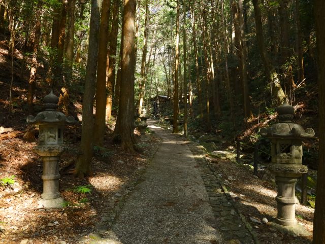 参道を思わせる深閑とした木立の中の「恵利原の水穴」への道