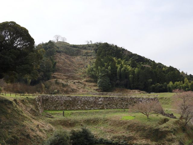 山中御殿の石垣と月山山頂部
