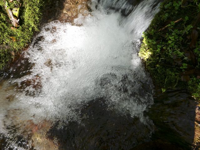 里山に湧き出す清廉な水