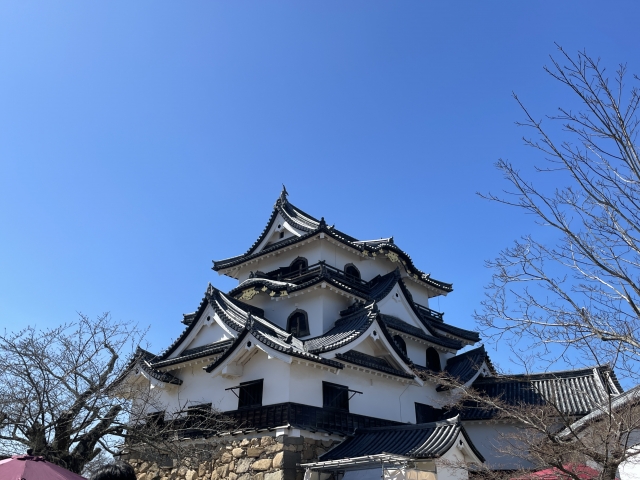 現在の彦根城
