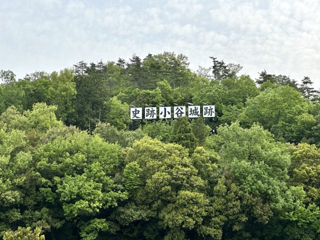 小谷城