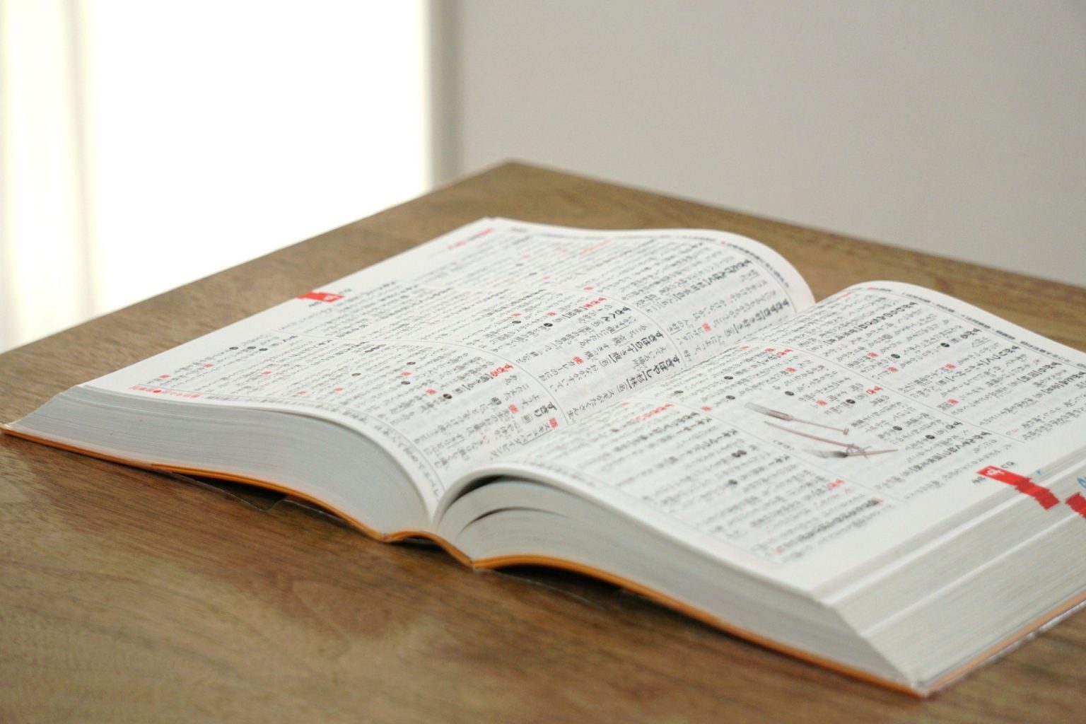 「頑な」の正しい読み方とは?「がんな」ではありません【脳トレ漢字229】 | サライ.jp|小学館の雑誌『サライ』公式サイト