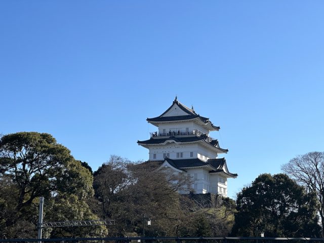 現在の小田原城