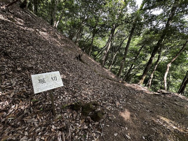 上月城跡の堀切（ほりきり） 尾根筋を切った堀で、尾根伝いに攻めてくる敵を防いだ。