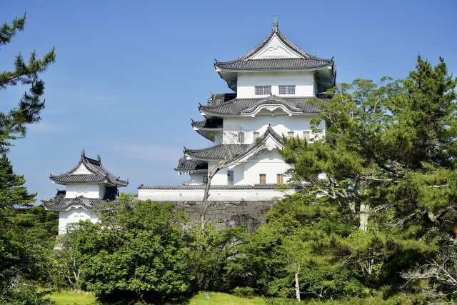 伊賀上野城