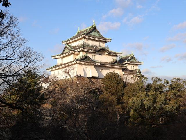 現在の和歌山城