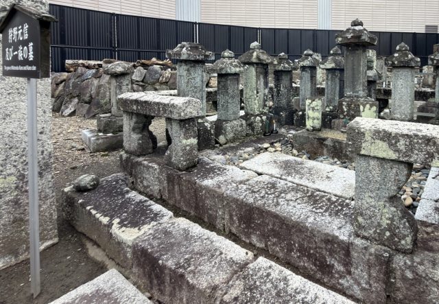 狩野永徳
